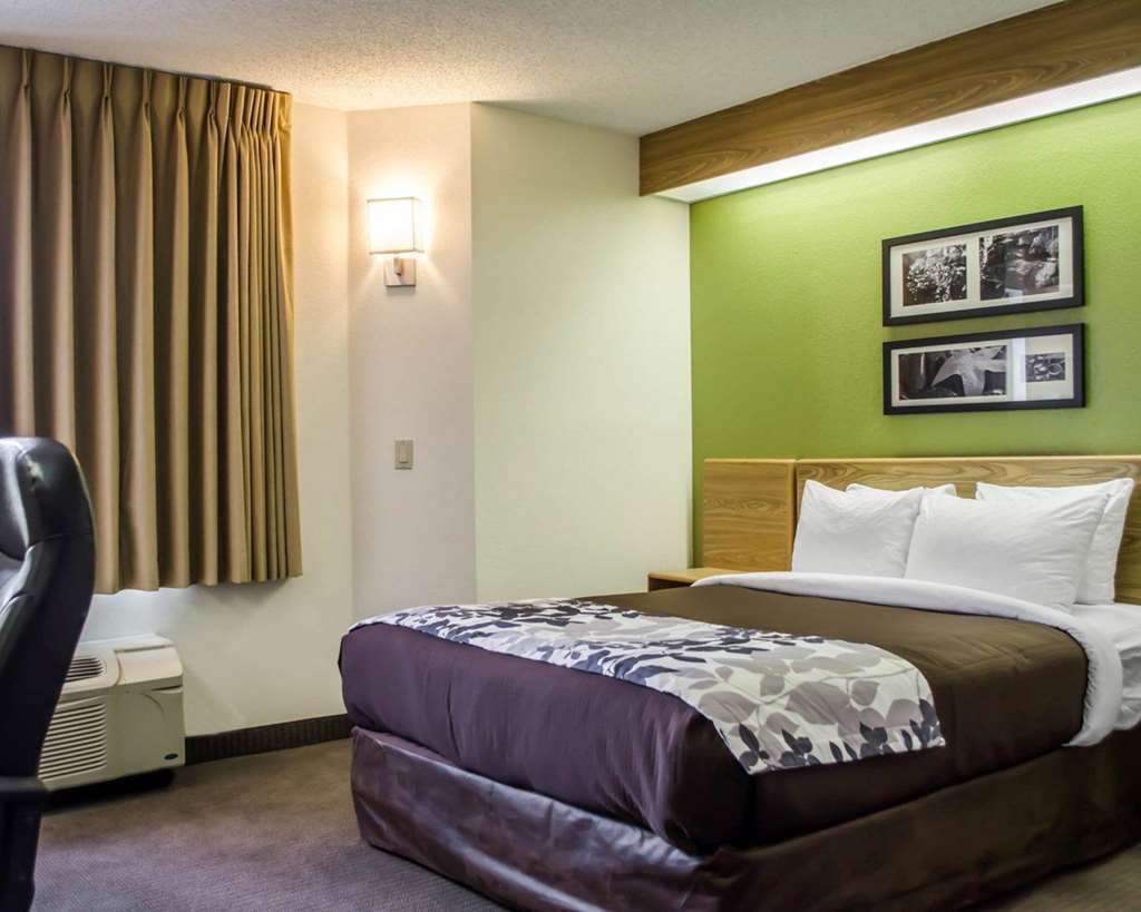 Spot X Hotel Tampa - Wesley Chapel By The Red Collection Rom bilde